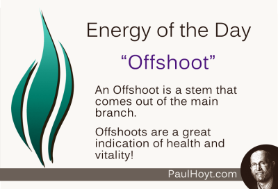Paul Hoyt Energy of the Day - Offshoot 2015-01-18