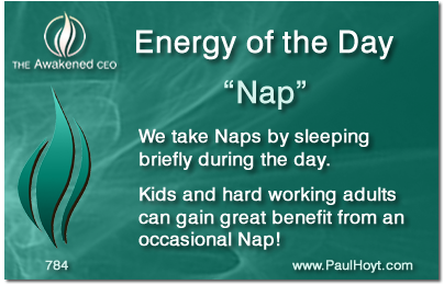 Paul Hoyt Energy of the Day - Nap 2016-01-14