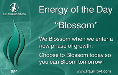 Paul Hoyt Energy of the Day - Blossom 2016-03-20