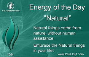 Paul Hoyt Energy of the Day - Natural 2016-10-19