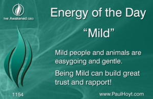 Paul Hoyt Energy of the Day - Mild 2017-01-17