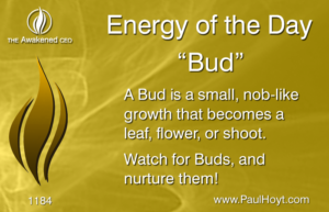Paul Hoyt Energy of the Day - Bud 2017-02-16