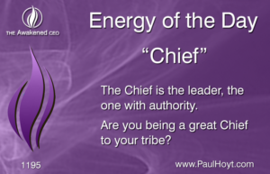 Paul Hoyt Energy of the Day - Chief 2017-02-27