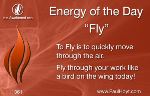 Paul Hoyt Energy of the Day - Fly 2017-08-12