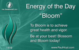 Paul Hoyt Energy of the Day - Bloom 2017-10-09