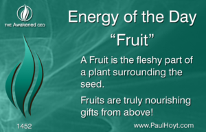 Paul Hoyt Energy of the Day - Fruit 2017-11-11