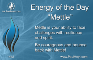 Paul Hoyt Energy of the Day - Mettle 2017-11-01