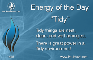 Paul Hoyt Energy of the Day - Tidy 2017-11-04
