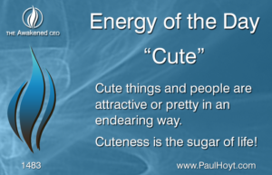 Paul Hoyt Energy of the Day - Cute 2017-12-12